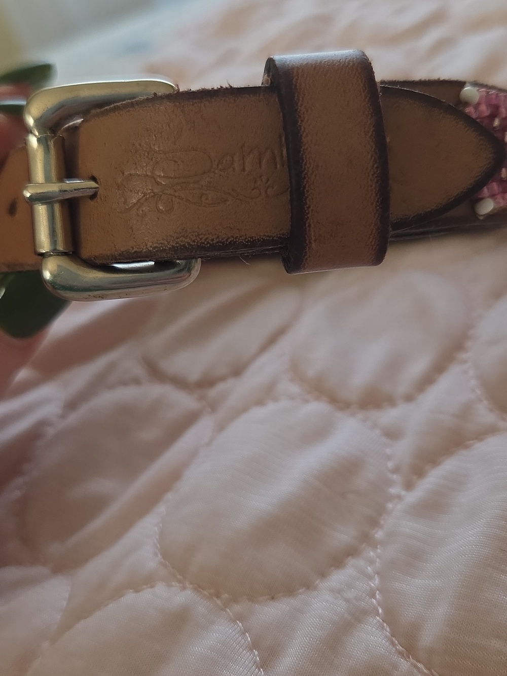 Sambboho, Size 12"-14" Hand Beaded In Brazil Leather Dog Collar - Picture 6 of 8